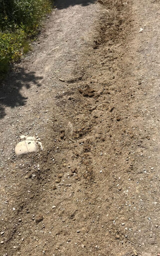 Hiking trail