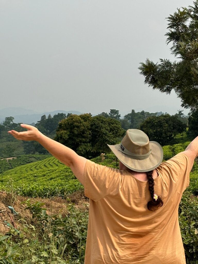 I was overlooking tea fields that we passed by on our safari drive in Uganda.